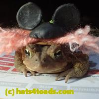 /home//u458753944/public_html/sourcegallery//Roxborough Toad Detour/2013-2019/2018/2018-04-13/P4130011.JPG